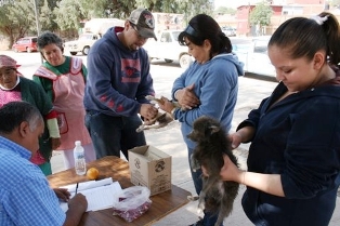 FOMENTA EL CENTRO DE ATENCIÓN CANINA Y FELINA ADOPCIÓN Y ESTERILIZACIÓN