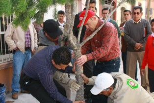 INICIA ALCALDE REFORESTACIÓN EN LA CALLE SEGUNDA DE MATAMOROS