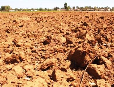 APOYARÍA CON 650 MDP FINRURAL AL CAMPO ZACATECANO AFECTADO POR SEQUÍA