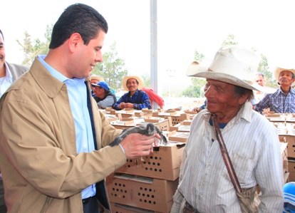 INICIA MAR ENTREGA ESTATAL DE 1 MILLÓN DE AVES, EN MAZAPIL