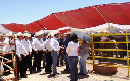 SUPERVISA MAR AVANCE DE LA UNIRSE “LAS ARSINAS”