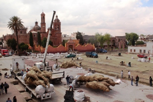 INICIA PLANTACIÓN DE NUEVA PALETA VEGETAL EN JARDÍN JUÁREZ