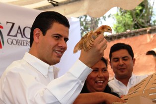 ENTREGÓ GODEZAC MÁS DE 500 MIL AVES DE TRASPATIO PARA FORTALECER LA ALIMENTACIÓN RURAL