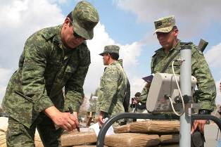 Personal Militar Destruyo Plantío de Marihuana y Localizo Centro de Acopio de Droga en Santa María de la Paz, Zacatecas