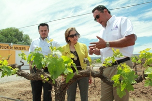 PROYECTA MAYOR EXPORTACIÓN LA EMPRESA ZACATECANA VIÑEDOS EL ALPINO