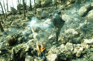 SOFOCAN ELEMENTOS DE LA PEP INCENDIO FORESTAL CERCA DE PARAÍSO CAXCÁN