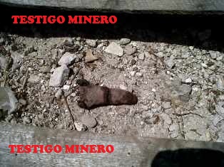 DOS CUERPOS, Y UN DEDO ENCUENTRAN EN FRESNILLO
