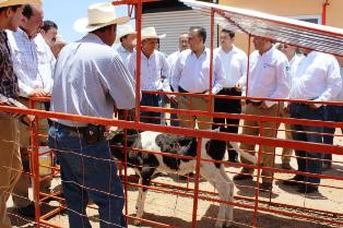 PODRÍAN PRODUCIR GANADEROS DE NOCHISTLÁN HASTA 30 MIL LITROS DIARIOS DE LECHE