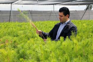 INAUGURA MAR VIVERO FORESTAL DE ALTA PRODUCTIVIDAD EN UNIDAD ACADÉMICA DE AGRONOMÍA UAZ