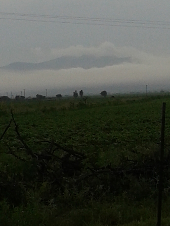 BAJA LA TEMPERATURA EN FRESNILLO