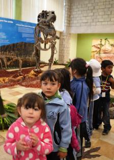 CIERRA ARCOSAURIOS CON 28 MIL 241 VISITANTES