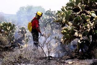 INAUGURAN OBRA DE DRENAJE CON UNA INVERSIÓN DE 7.5 MDP EN LA COMUNIDAD DE CARRILLO