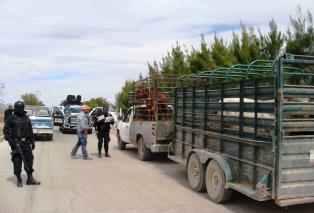 MANTENDRÁ PEP OPERATIVO PERMANENTE DE COMBATE AL ABIGEATO EN LAS CINCO UNIRSE