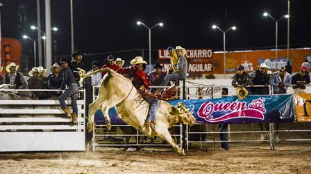 NOCHE DE RODEO EN LA FENAPLA