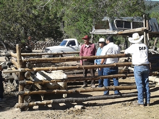 ENTREGA DIF MUNICIPAL PAQUETES DE BORREGAS EN COMUNIDADES