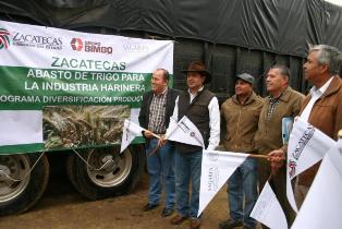 ENVÍAN PRIMER EMBARQUE DE TRIGO DE LA COSECHA DE DIVERSIFICACIÓN PRODUCTIVA
