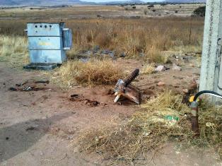 HURTO DE TRANSFORMADOR DE REBOMBEO DEJA SIN AGUA A COLONIAS DE GUADALUPE