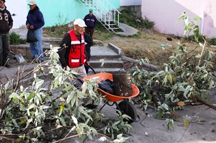 LAS FLORES COLONIA PELIGROSA EN FRESNILLO