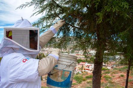 VEN A ZACATECAS COMO DESTINO IDEAL PARA INDUSTRIAS DE PIROTECNIA