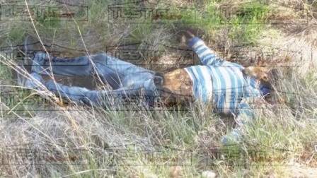 AUMENTA EL NÚMERO DE EJECUCIONES EN FRESNILLO