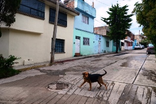RECONOCE GODEZAC VALOR Y ENTREGA DE BOMBEROS ZACATECANOS