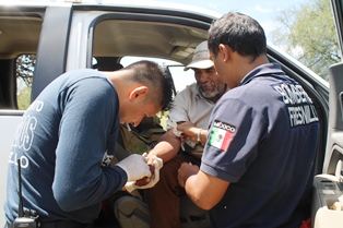 SUFRE FAMILIA ATAQUE DE ABEJAS EN COMUNIDAD