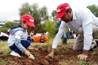 REFORESTAN PARQUE ARROYO DE LA PLATA