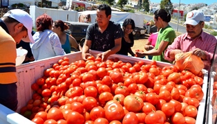 ENTREGA SMDIF APOYOS ALIMENTARIOS A FAMILIAS GUADALUPENSES