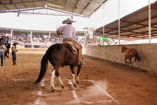 EJECUTAN AL “CHARRO”