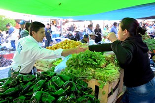 VOLCADURA EN AL RÚA A PLATEROS