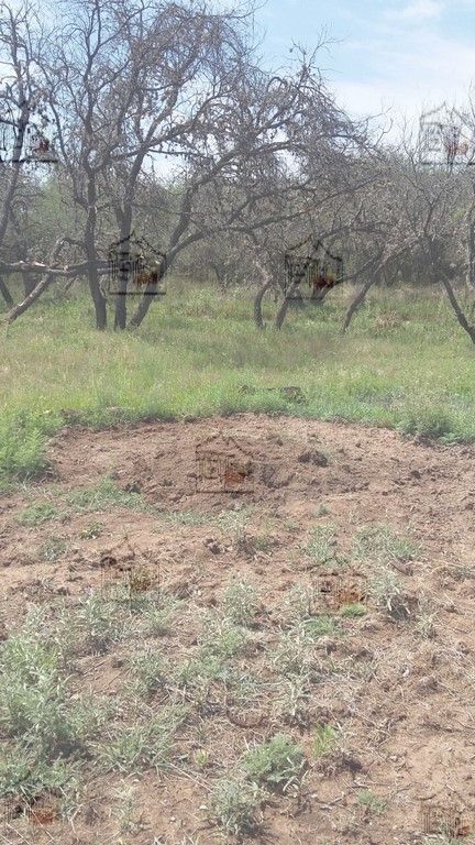 ANCIANO MATA A SU PAREJA POR INFIEL, LUEGO LA ENTIERRA