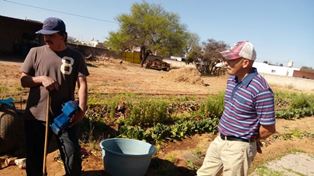 IMPLEMENTAN HUERTOS FAMILIARES EN RÍO FLORIDO