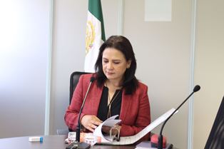 Organismos de agua potable deben de ser sujetos obligados: Del Río