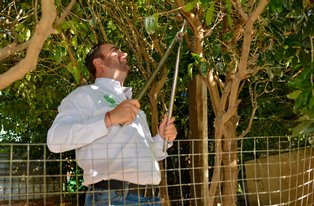 ENCABEZA HARO DE LA TORRE BRIGADA DE SERVICIOS PÚBLICOS EN LA  COLONIA INDECO