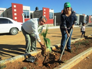 INICIA LA PRIMER ETAPA DE FORESTACION EN EL FRACCIONAMIENTO ARTE MEXICANO