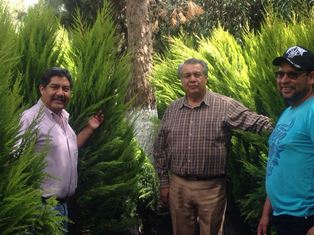 DESTRUYÓ PGR MAS DE 10 MIL PLANTAS DE MARIHUANA LOCALIZADAS EN 15 PLANTÍOS EN ZACATECAS
