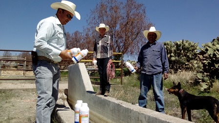 CONTINÚA EL PROGRAMA PREVENTIVO DE SALUD ANIMAL DE DESARROLLO RURAL