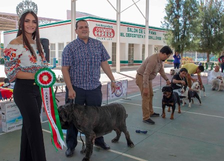 REALIZAN EXPOSICIÓN CANINA DENTRO DE LAS ACTIVIDADES  DE LA FENAFLLO 2018