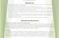 CIERRA JUEVES CONVOCATORIA PARA SELECCIÓN DE DOCENTES DEL NUEVO BACHILLERATO POLICIADEL ESTADO DE ZACATECAS