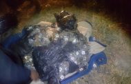 ASEGURA PEP EN JEREZ MÁS DE MIL 200 DOSIS DE MARIHUANA