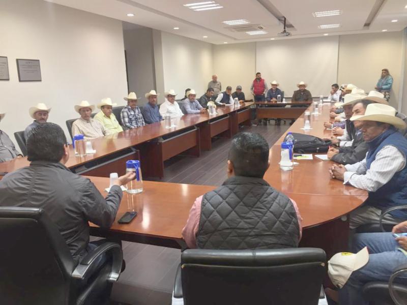 ANUNCIA GOBIERNO QUE AGILIZARÁ EL PAGO DE 176 MDP A PRODUCTORES DE FRIJOL