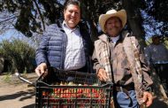 CONSTRUYE GOBIERNO DEL ESTADO CÁMARA FRÍA PARA PRODUCCIÓN DE FRESA EN VILLA GARCÍA