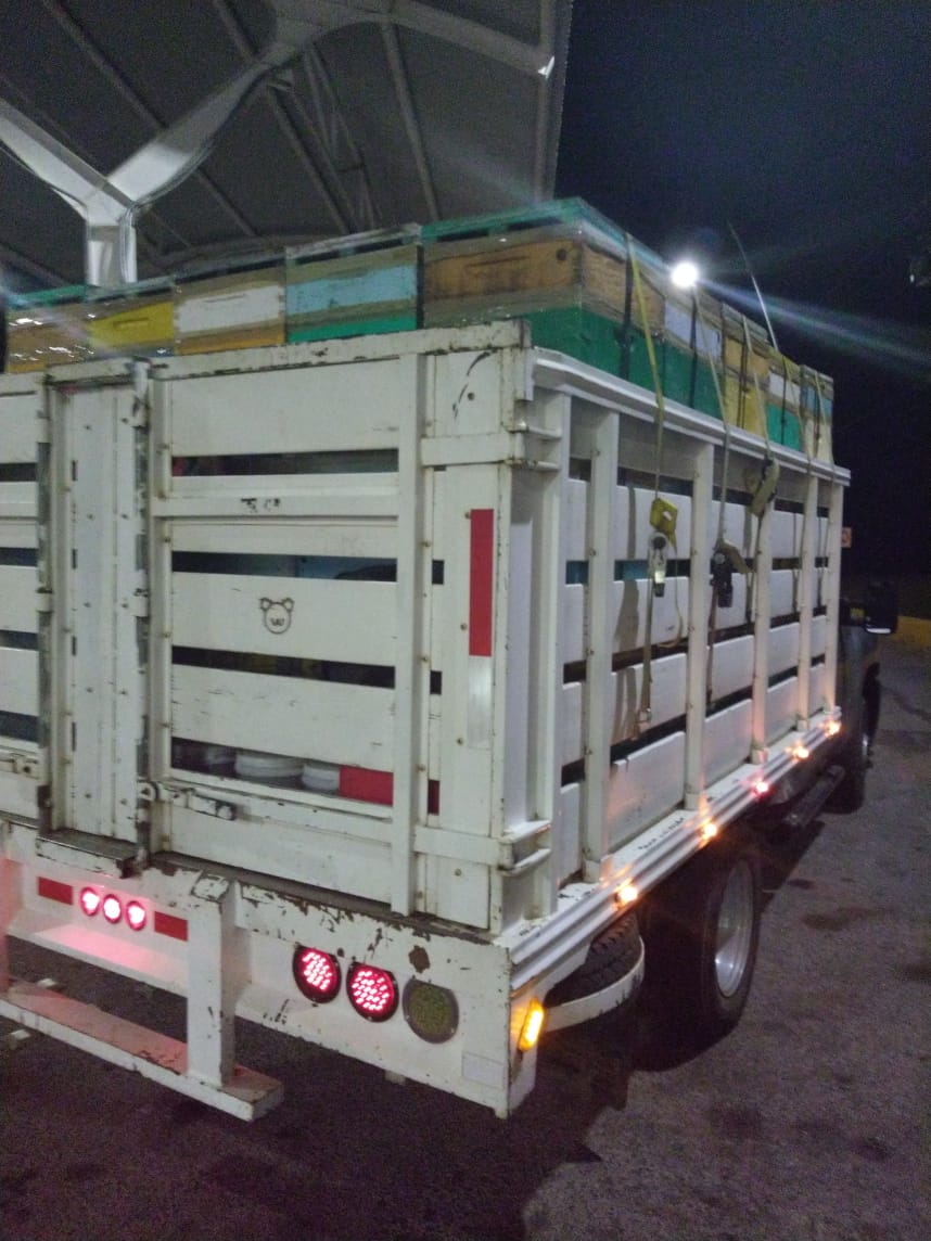 DETUVO PEP EN UNIRSE LAS ARSINAS A TRES HOMBRES POR PROBABLE ROBO DE COLMENAS