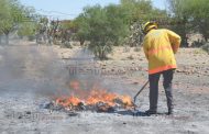 FGR INCINERA NARCÓTICOS EN ZACATECAS