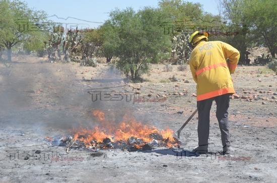 FGR INCINERA NARCÓTICOS EN ZACATECAS