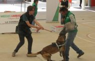 PROMUEVE GOBIERNO DEL ESTADO DERECHOS DE LOS ANIMALES