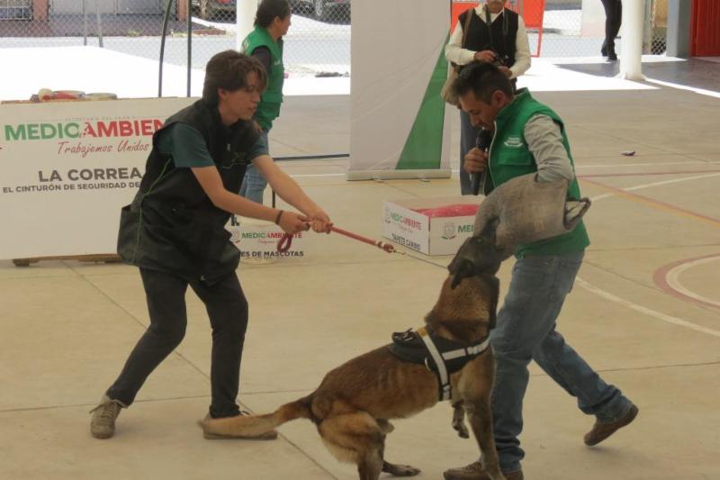 PROMUEVE GOBIERNO DEL ESTADO DERECHOS DE LOS ANIMALES