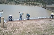 LIBERAN 150 MIL CRÍAS DE PECES EN PRESAS DE EL MINERAL