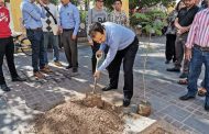 Encabeza Miguel Torres campaña de reforestación