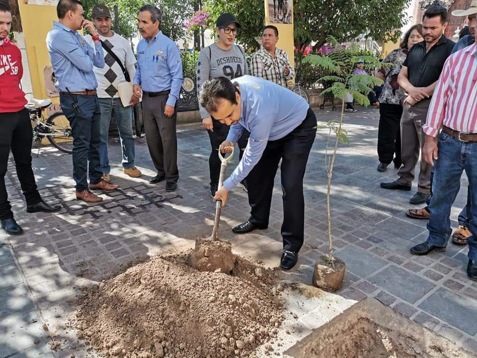 Encabeza Miguel Torres campaña de reforestación